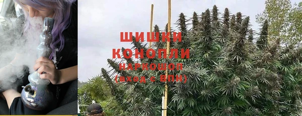 PSILOCYBIN Арсеньев